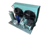 L'air de 4EES 4 4EES 4Y a refroidi l'unité de condensation pour le frezeer et le réfrigérateur avec le compresseur de Bitzer