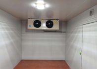 La chambre froide du surgélateur SS314 a adapté le réfrigérateur aux besoins du client 2*2*2.8M d'entreposage au froid