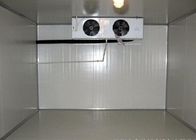 salle d'entreposage de refroidissement en acier froide de la chambre 1.0mm de 2M Height Fridge Freezer