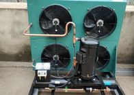 L'air de 3HP 2FES-3Y a refroidi l'unité de condensation de pièce de congélateur de l'unité de réfrigération R407