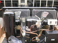 L'air de CAJ4461YHR Tecumseh a refroidi le système de réfrigération de condensation hermétique de l'unité 1/2HP R134a