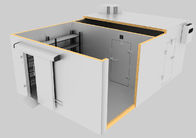 l'épaisseur de 100mm a adapté la salle aux besoins du client d'entreposage commerciale blanche de congélateur des chambres froides 220V 380V de Colorbond