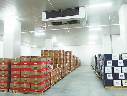 Promenade SS304 à angle droit dans la pièce industrielle de congélateur de panneau de Coldroom 200mm