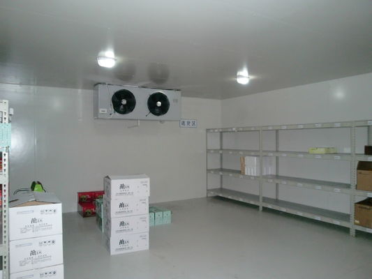 Promenade SS304 à angle droit dans la pièce industrielle de congélateur de panneau de Coldroom 200mm